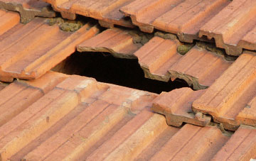 roof repair Walton St Mary, Somerset